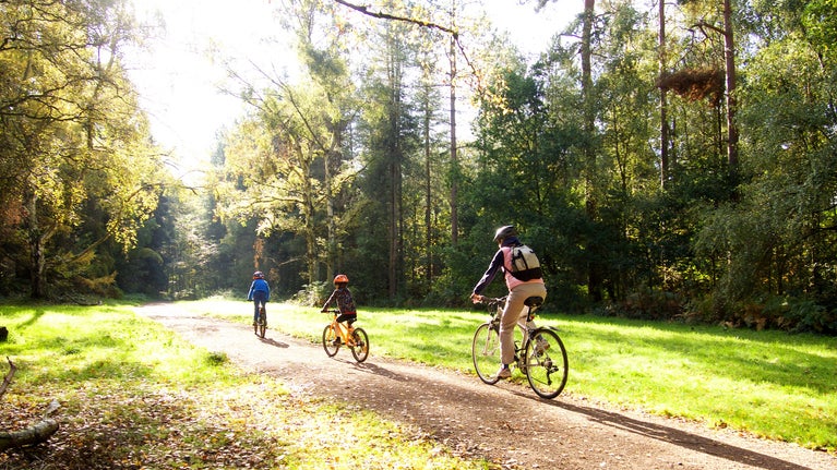Family cycles the Explorer Trail Comer Woods